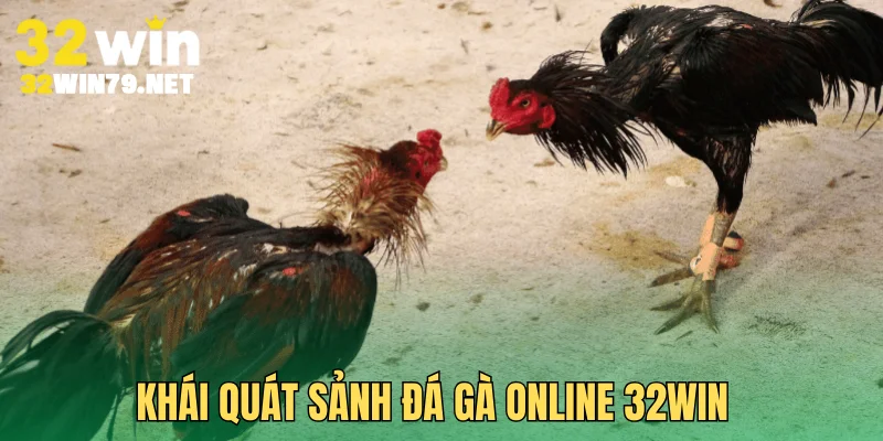 Khái quát sảnh đá gà online 32Win