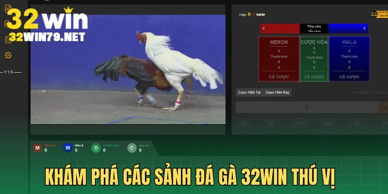 Khám phá các sảnh đá gà 32Win thú vị