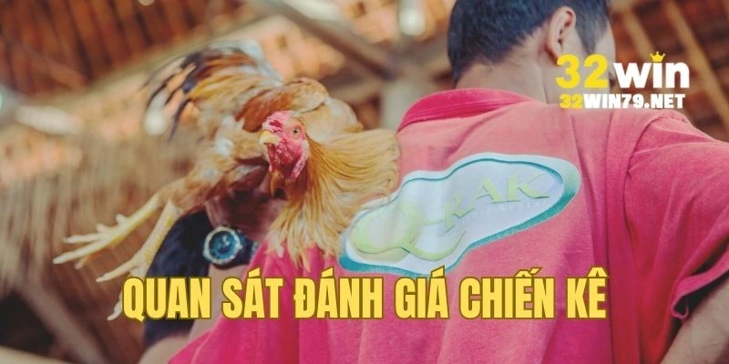Quan sát, đánh giá tổng thể chiến kê