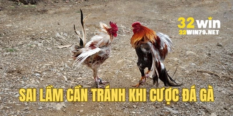 Sai lầm khi để cảm tính tham gia quá trình cược