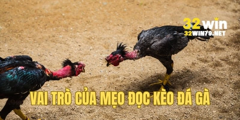 Lý do cần có mẹo đọc kèo đá gà khi chơi
